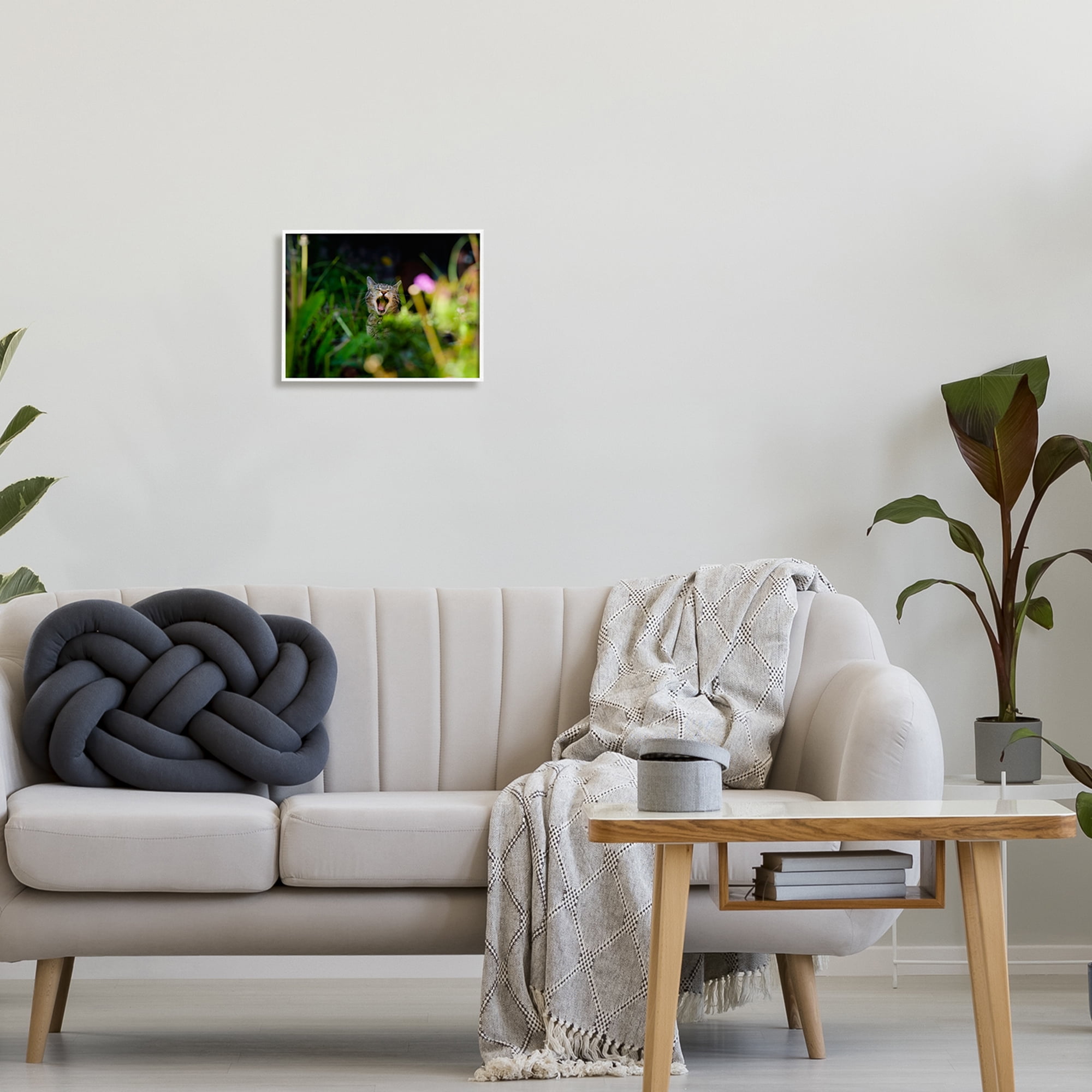Stupell Industries Yawning Cat in Grass Animals & Insects Photography White Framed Art Print Wall Art, 14 x 11