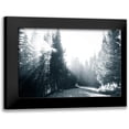 thumbnail image 1 of Murdock, Ramona 24x17 Black Modern Framed Museum Art Print Titled - Light in the Forest IV, 1 of 5