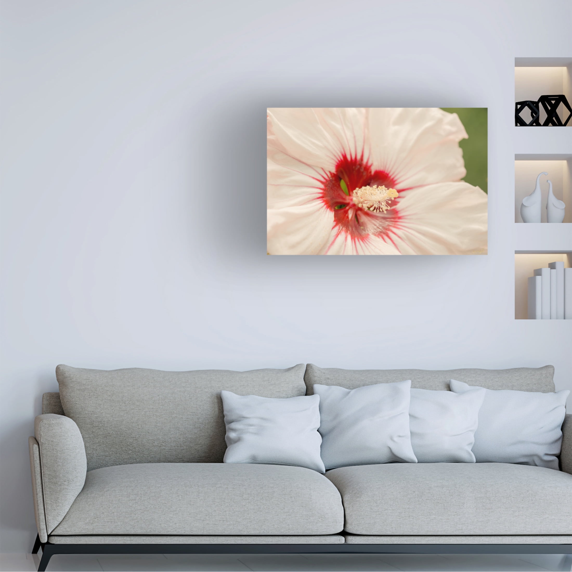 Canvas Wall Art - Life BeautifuLEE 'Up Close White and Red 2' Wall Art for Living Room, Bedroom, or Office Décor by Trademark Fine Art - 24 x 16 Inches
