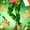 01Army Green, variant on St. Patrick's Butt Lifting Leggings for Women Pants Casual Women's St. Patrick's Day Printing Casual Yoga Pants Trousers Tight Leggings Green L