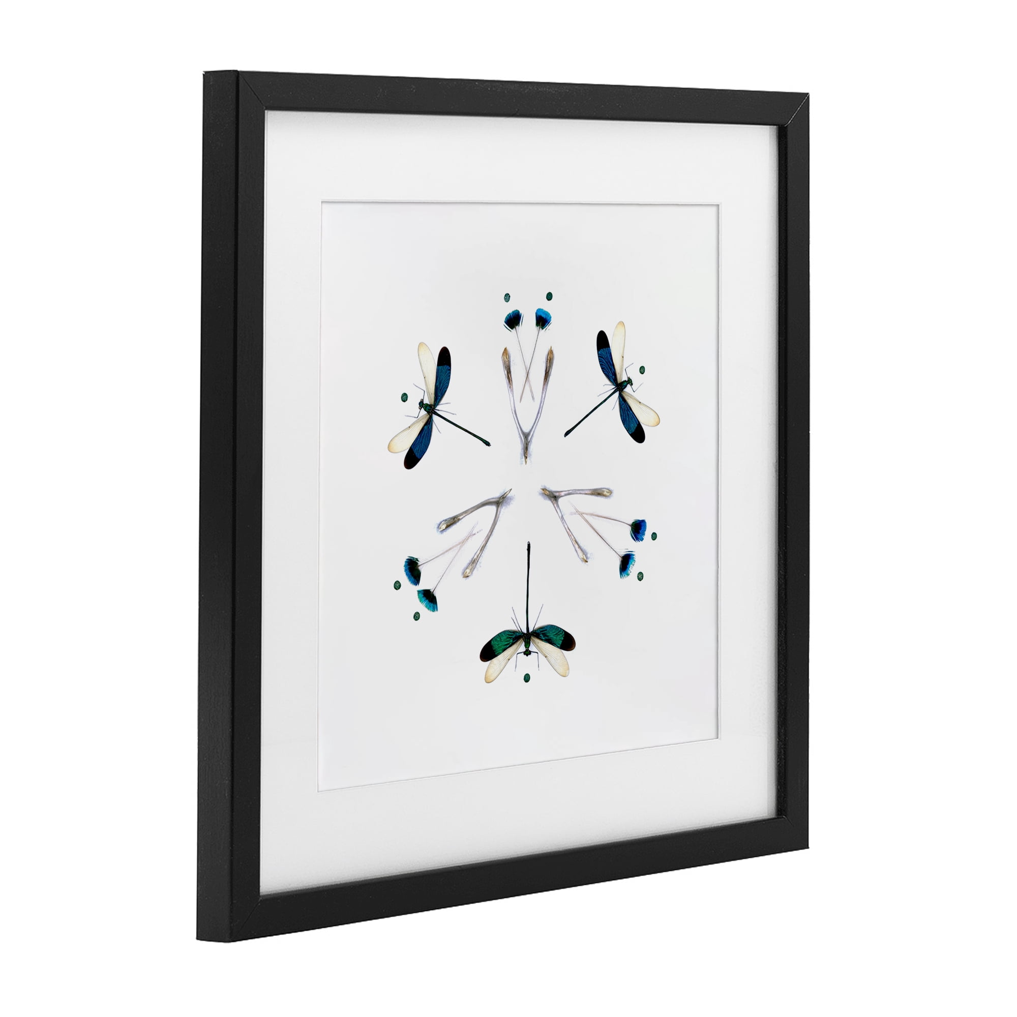 Stupell Industries Simple Dragonfly Symmetry Black Framed Print Under Glass, design by Beth Adoette