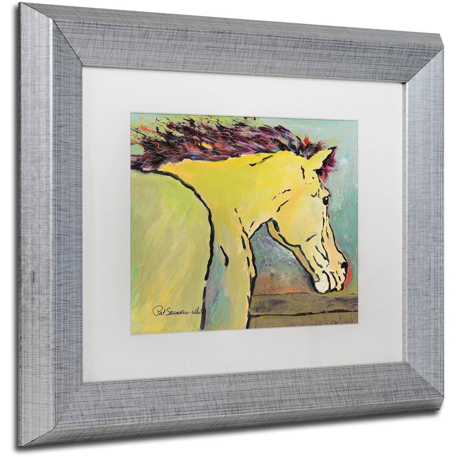 Trademark Fine Art "Waiting for Sunrise" Canvas Art by Pat Saunders-White, White Matte, Silver Frame