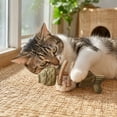 thumbnail image 6 of Catnip For Cats, 2026 New Dental Chew Cat Toys Silvervine Blended Edible Sticks, Catnip And Silvervine Chew 7in Fishbone Toy For All Cat Breeds Teeth Care, 6 of 6