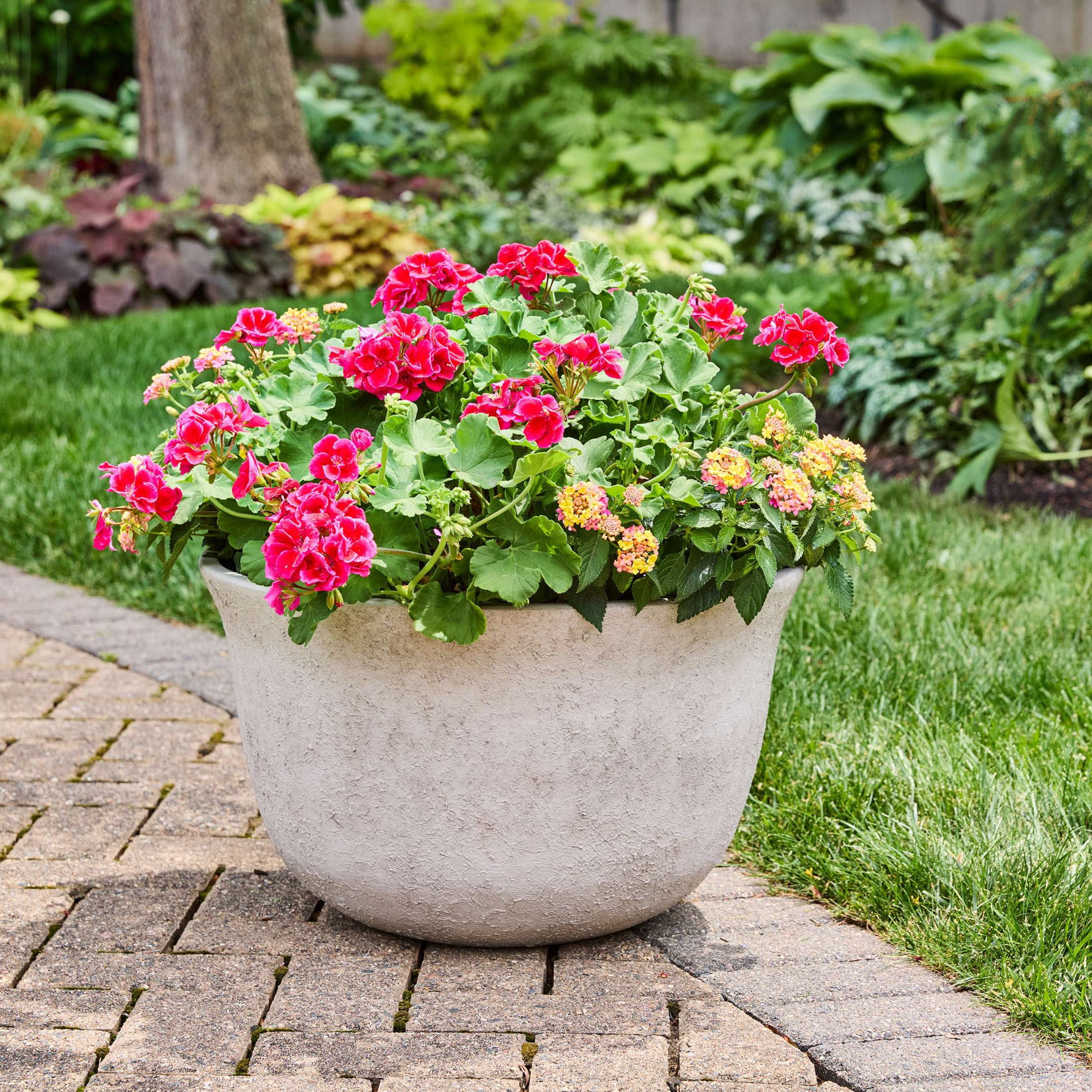 Better Homes & Gardens 20 inch Carmen Planter Gypsum Plant Pot Bowl Shape with Modern Design for Indoor Outdoor Plant