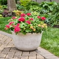 thumbnail image 4 of Better Homes & Gardens Carmen 20 in Gypsum Bowl Planter for Indoor and Outdoor Use, 4 of 7