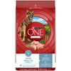 Purina ONE Natural Dry Dog Food for Hip & Joint Care, +Plus Joint Health Formula, 8 lb. Bag