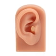 thumbnail image 2 of Soft Silicone Ear Model, Reused Ear Displays Mould Soft Professional Ear Piercing Tool  3D Acupuncture Silicone for Piercing Practice Earring Display, Acupuncture, Display Model, 2 of 7