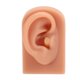 thumbnail image 1 of Modelo de oreja perforadora, práctica de perforación 3D, modelo de oreja de silicona, calidad en la que puede confiar, 1 of 8