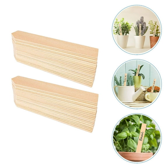 LABSERRON 50Pcs Eucalyptus Wood Plant Labels for in Arrow Shape for Garden Markers