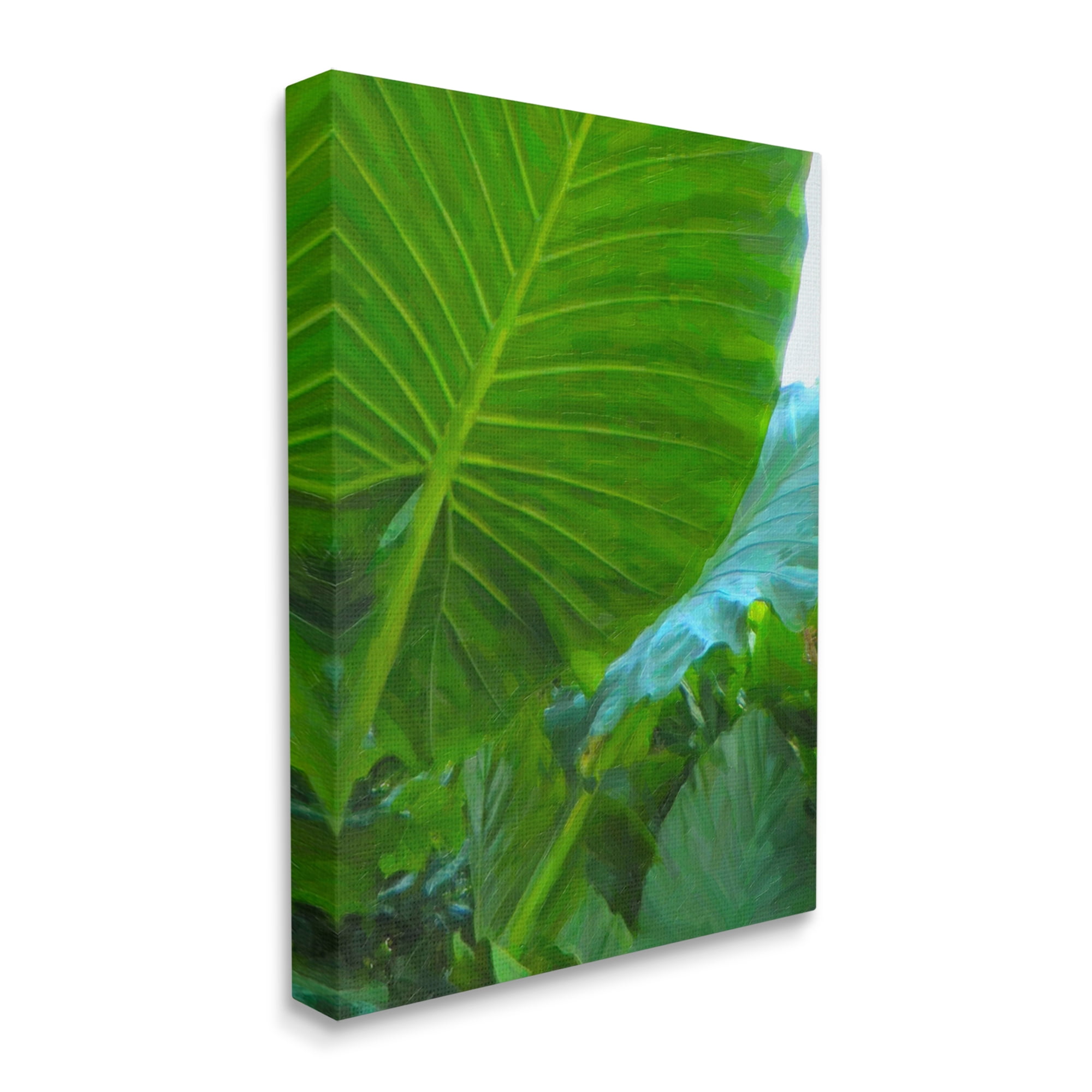 Stupell Industries Green Palm Leaf Painting Botanical & Floral Photography Gallery Wrapped Canvas Print Wall Art, 24 x 30
