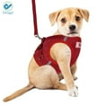 thumbnail image 3 of Deago No Pull Dog Pet Harness With Leash Reflective Soft No Choke Easy Control for Small Dog Cat Outdoor Walking Travel (Red, S), 3 of 9