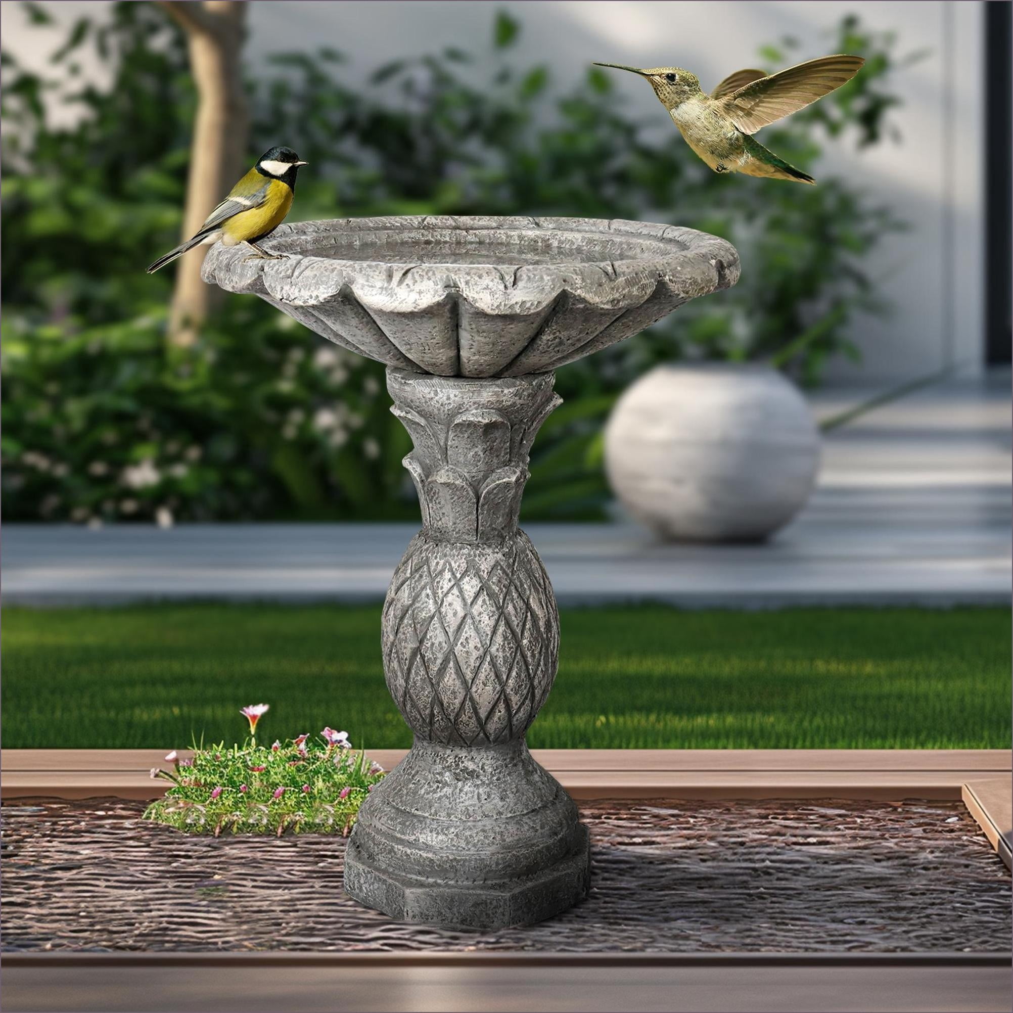Bird Baths | Modern 24.8" H Outdoor Garden Patio Backyard Bird Bath | Concrete Cement | Pedestal