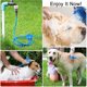 thumbnail image 4 of 2 en 1 Dog Er Pet Er con cepillo Dog Cat Ging Brush Massa Lar Medium S, 4 of 4