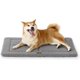 thumbnail image 1 of Washable Dog Crate Bed for Large Dogs, Reversible Foam Floor Pet Mat, Versatile Lightweight Pet Crate Pad for Cages, 1 of 5