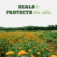 thumbnail image 2 of St Francis - Calendula Vitamin E Cream, 60 Units, 2 of 7