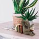 thumbnail image 4 of Elephant and Rabbit Statue Bookend Figurines Ornaments Resin Animal Figurines Decor for Home Decorations, 4 of 5