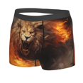 thumbnail image 5 of Goofa Cool Fire Lion Printed Men's Boxer Briefs Underwear, Moisture-Wicking Underwear, Trunk,Soft and Breathable Cotton Underwear-Large, 5 of 9
