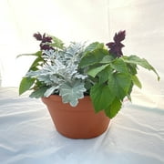 Expert Gardener 1.25 GAL Multicolor Spring Has Sprung (1 pack) Grower Pot