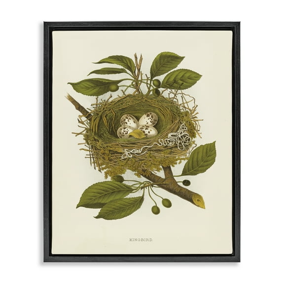 Stupell Industries Birdnest with Spotted Eggs Plants & Flowers Painting Black Floater Framed Canvas Art Print Wall Art, 17 x 21