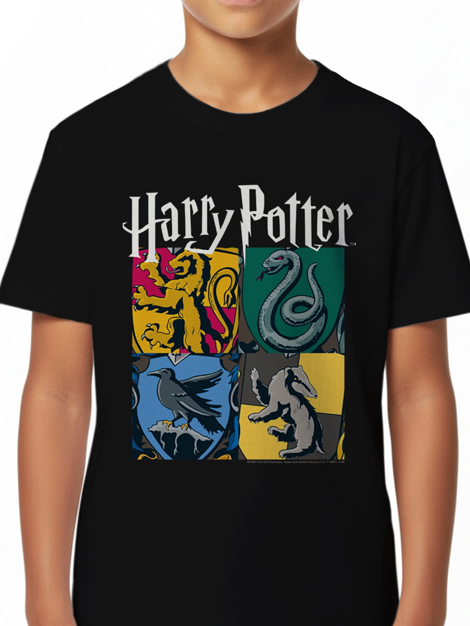 Harry Potter, Boys' & Big Boys' Graphic Tee, All Houses, Sizes 4-18