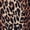 LEOPARD PRINT, variant on Women's Patterned Hyper Stretch Shorts