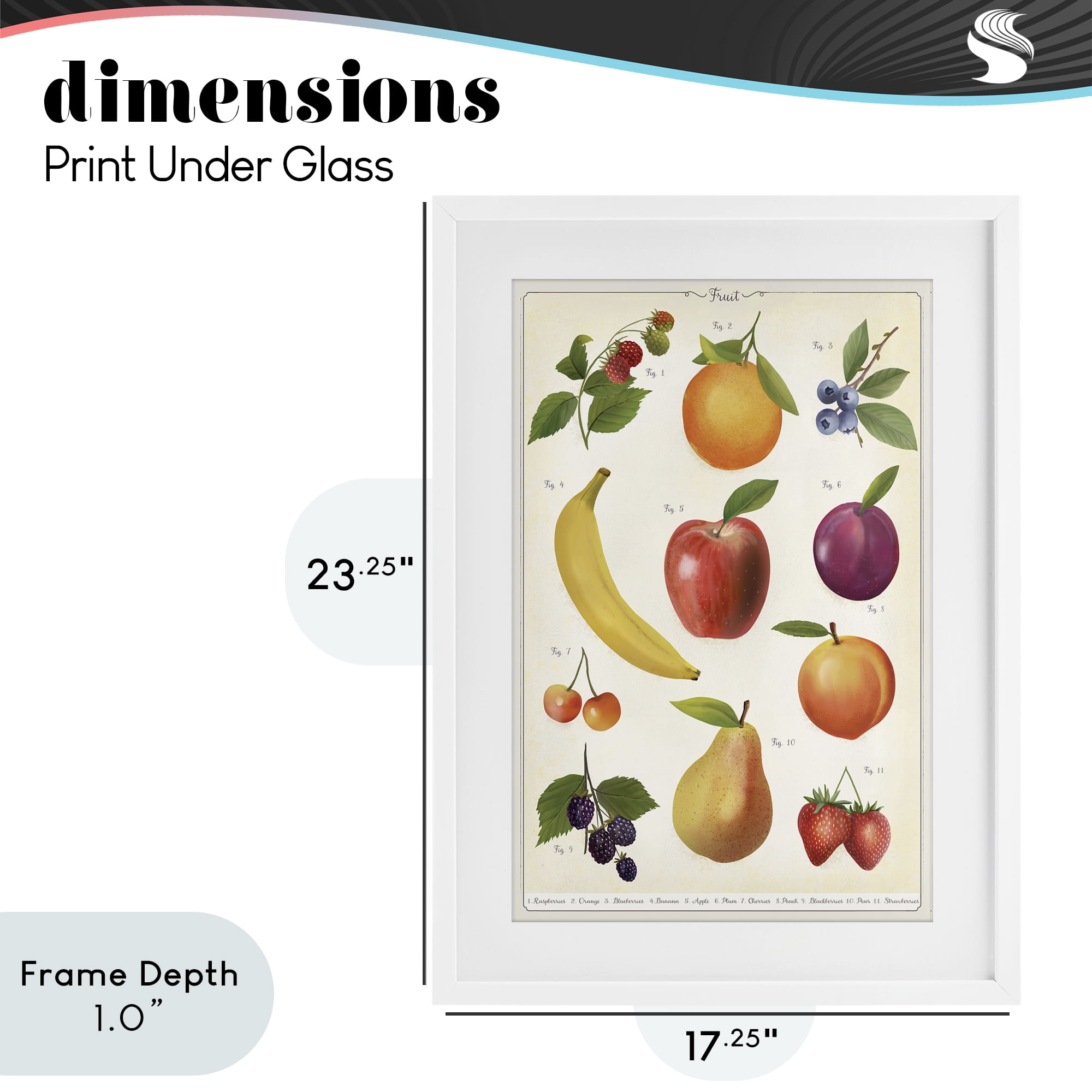 Stupell Industries Fruit Collection Studies White Framed Print Under Glass, design by Diane Neukirch