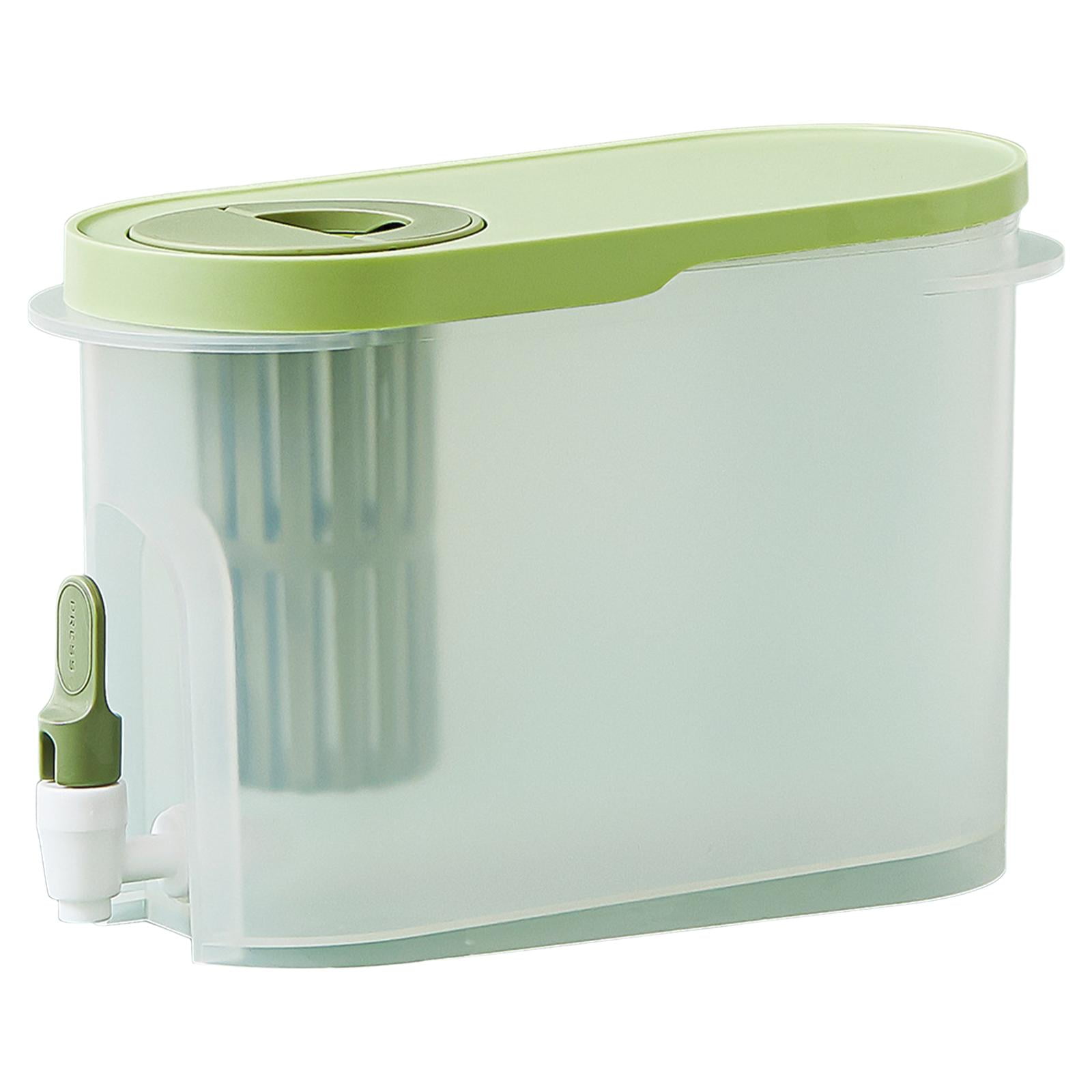 Iced Beverage Dispenser Freezer Blooming Tea Pot with Strainer