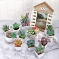 thumbnail image 4 of 20pcs Artificial Flocked Succulents Mini Fake Succulent Plants Faux Premium Decor for DIY Crafting Home Floral Wall Garden Arrangement Office Decoration (Unpotted), 4 of 4
