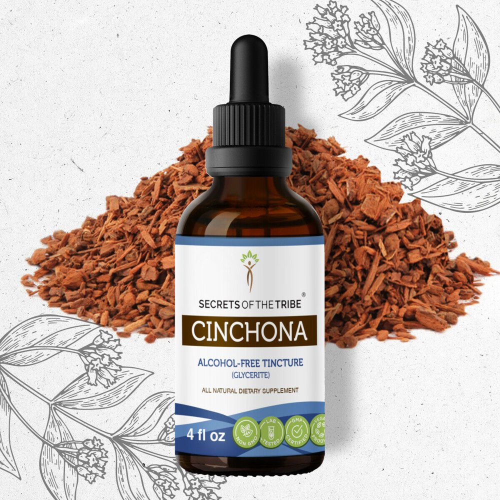 Cinchona Tincture AlcoholFREE Extract, Wildcrafted Cinchona Quinine