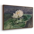 thumbnail image 3 of Vintage Botanical Print-LX By Wexford Home Framed in Walnut Wood Gallery Wrapped Canvas 25 in. x 37 in., 3 of 7