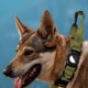 thumbnail image 5 of Tactical Dog Collar Nylon Adjustable Pet Collar with Control Handle and Protective Cover for AirTag, 5 of 5