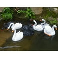 thumbnail image 1 of hirigin Collectible Resin Mallard Duck Goose Swan Statue ,Realistic Furnishing Ornaments, Simulation Landscape Figurines ,Sculpture Garden Outdoor Indoor Art Crafts Decor, 1 of 5
