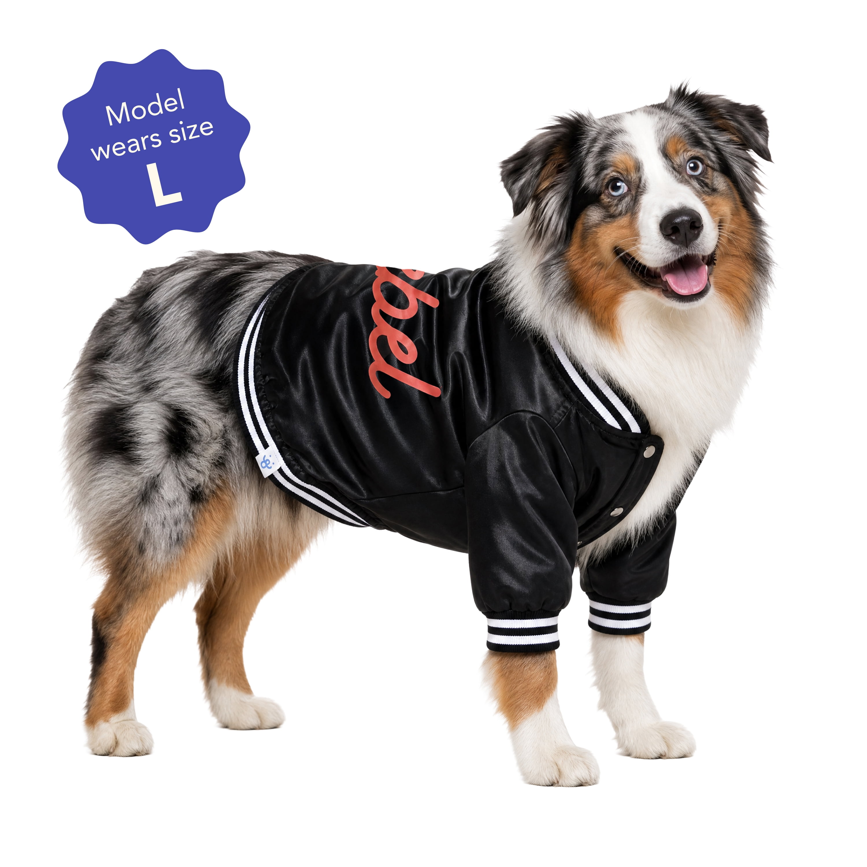 Oodles Rebel Fall Dog Jacket, Black, Large