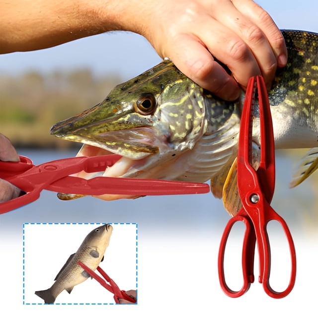 Birdeem Fishing Clamp,Fish Pliers with Floating Design for Safe Fish Control,Lightweight Plastic Scissors-Type Tool,Portable and Compact 9.8 X 3.1 Inches
