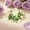 Multicolor C, variant on Naittoop Wedding Rose Candle Rings Swag Wreath Artificial Floral Wreaths with Lamb Leaf Flower Candle Rings Candleholders Garland for Pillar Centerpiece Party Table Wall Window Farmhouse Decor White