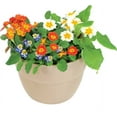 thumbnail image 4 of Emsco Group 2460-1 Bloomers Post Planter, for 4x4 Posts, Sand, 4 of 11