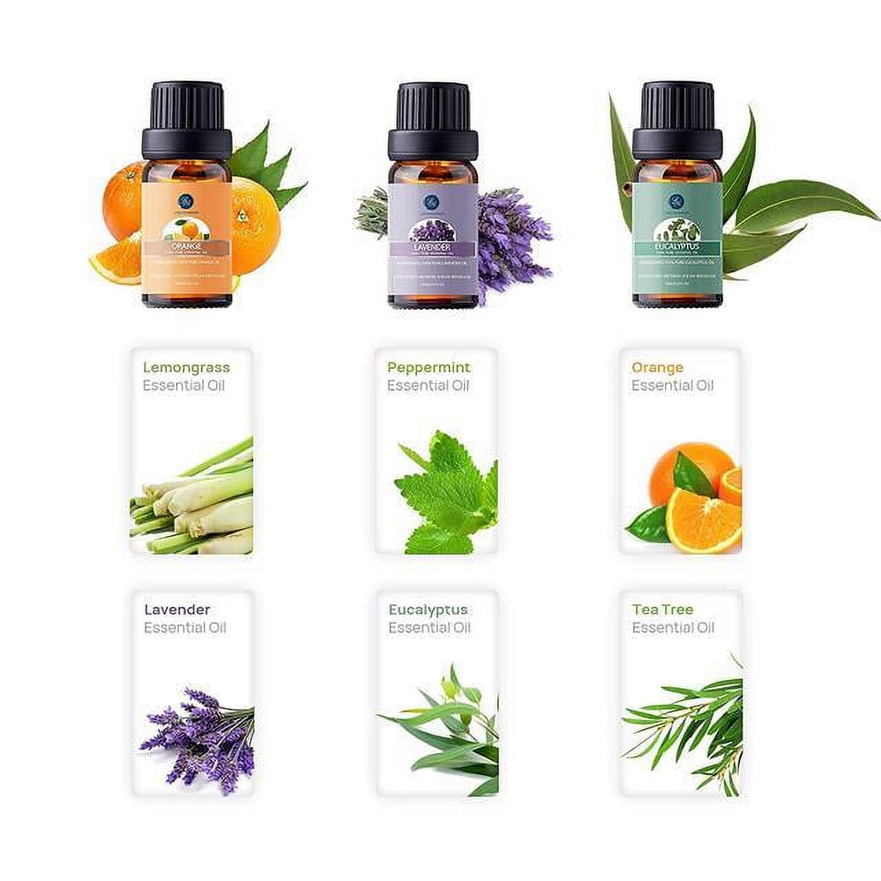 LAGUNAMOON™ Fragrance Essential Oils Gift Set,Top 6 Pure Aromatherapy Oils: Lavender, Tea Tree, Peppermint, Eucalyptus, Lemongrass, Orange - image 2 of 4