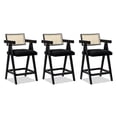 thumbnail image 3 of Natural Look from Resin Cane Back | Ideal for Casual Dining | Ergonomic Set of 3 Bar Stools, 3 of 4