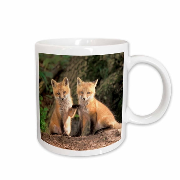 3drose, Red Fox Pup in Front of Den - Na02 Aje0310 - Adam Jones, 15oz Mug