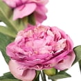 thumbnail image 2 of Vickerman FH170403 Tige de Rose Florale, 2 of 6