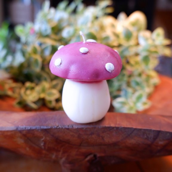 Soy Wax Mushroom Candles