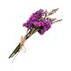 thumbnail image 5 of Bewildely Elegancia atemporal en arreglos de flores y hojas secas Elegante ramo de flores secas naturales HS-10 Type1 NO1, 5 of 6