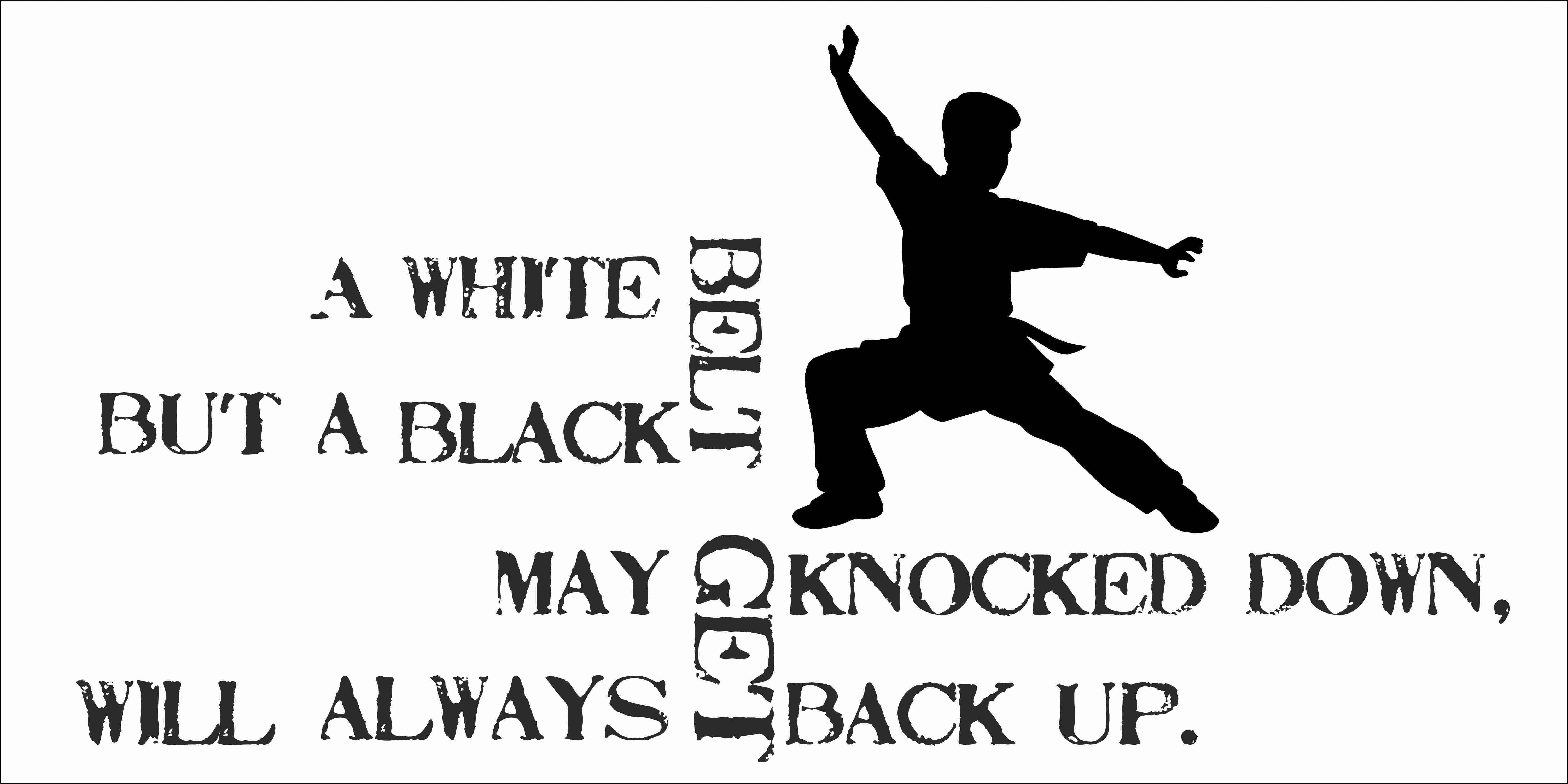 A White Belt May Get Knocked Down But A Black Belt Will Always Get Back Up Diy Vinyl Martial Arts Home Wall Art Quotes Decal 10 X Stick And