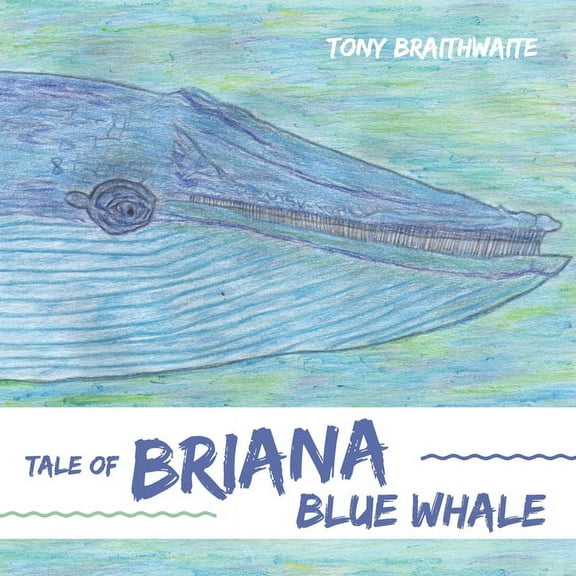 Tale of Briana Blue Whale (Paperback)