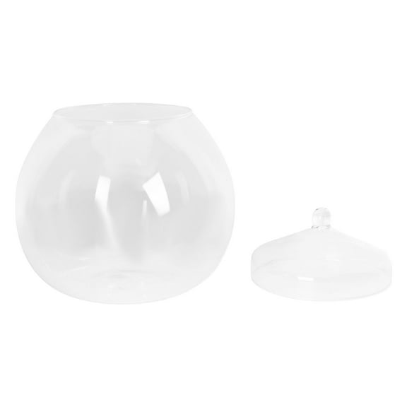 WRISTBIQUE Glass Terrarium Jar with Lid, Plant Bottle for , Air Plants, and Small Decor, 1 Set