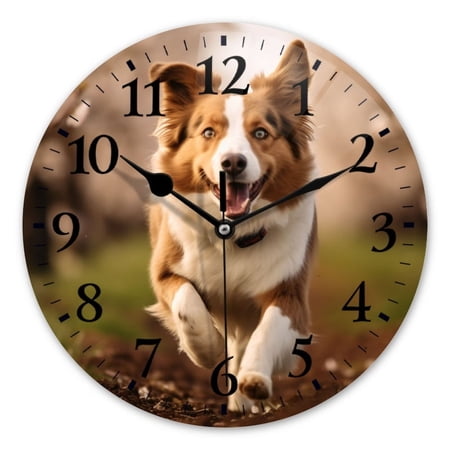 Non-Ticking Silent Wall Clocks Battery Operated Personalized Decor Clock for Bathroom,Office-Red And White Border Collie Running In The Spring Orchard(10inch)