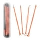 thumbnail image 2 of 4 unids / set de material acero inoxidable, espinillas, acné, tratamiento de imperfecciones, extractor de espinillas, de agujas para quitar jinwen  Extractor de puntos negros, 2 of 8