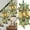 Gold, variant on Christmas Swags & Garlands with Lights Cordless Stairway Prelit Stair Swag Christmas Lighted Garland Ornament Outdoor Door Hanging