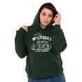thumbnail image 4 of Michigan Is Great MI Lakes Pride Hoodie Sweatshirt Women Men Brisco Brands 3X, 4 of 6