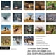 thumbnail image 2 of Calendario de Pared 2026, Calendario 2025-2026, Calendario de Pared Mensual Elafurus davidianus, Abierto de 12" x 24", Calendario de Planificación Familiar, Organizador para el Hogar y la Oficina, Colgante, 2 of 6